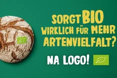 Auf den Punkt gebracht