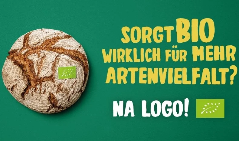 Auf den Punkt gebracht