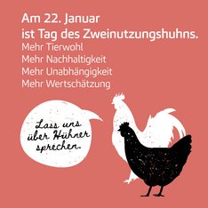 Grafik zum Tag des Zweinutzungshuhns.