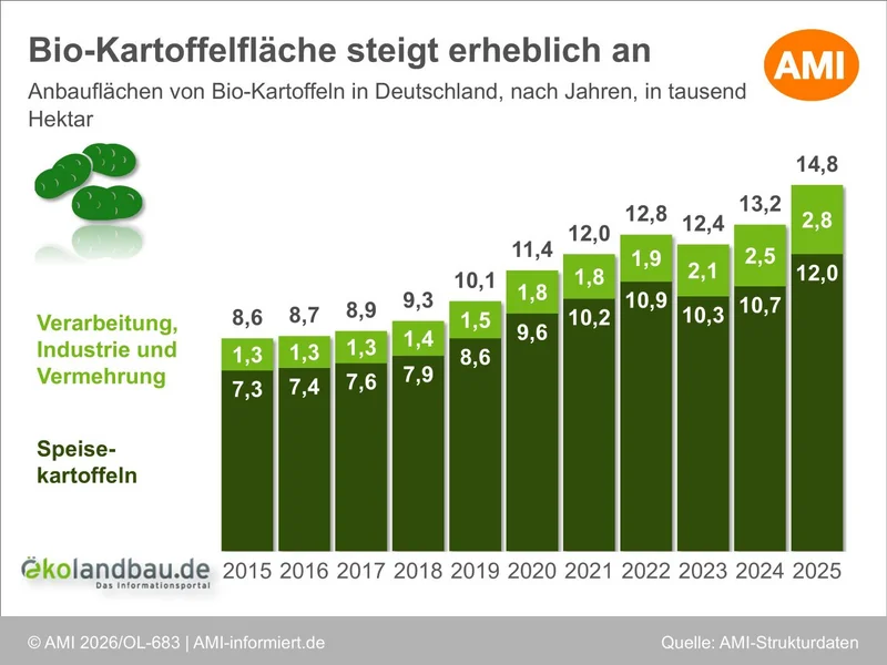 Grafik der Entwicklung der Anbauflächen von Bio-Kartoffeln in Deutschland.