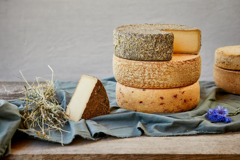 Heumilchkäse