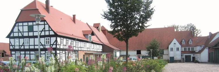 Blühende Büsche vor Fachwerkhaus