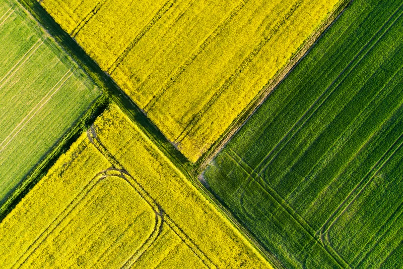 Landwirtschaftsflächen aus der Luft. Klick führt zu Großansicht in neuem Fenster.
