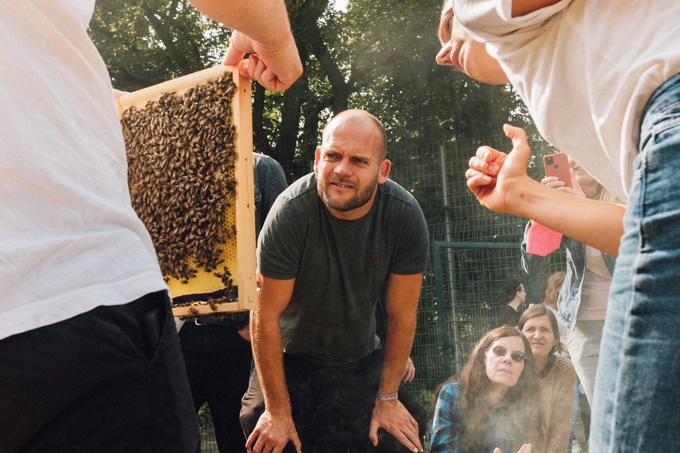 Mann blickt auf Bienen. Klick führt zu Großansicht in neuem Fenster.