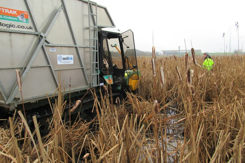 Kettenfahrzeug erntet Typha. Klick führt zu Großansicht in einer Lightbox. Zum Schließen der Lightbox ESC drücken.