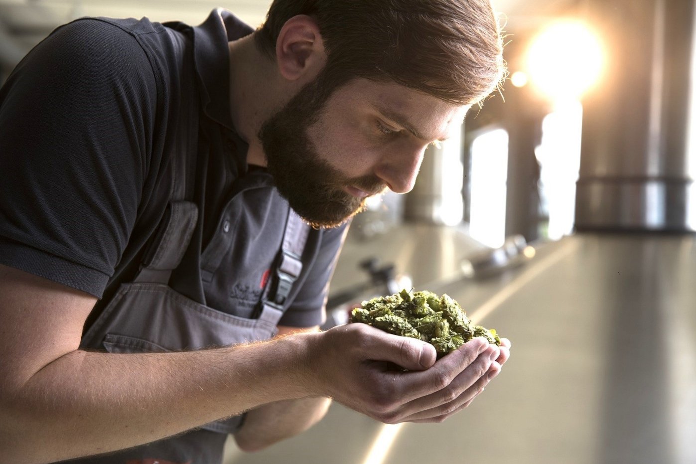 Brauer mit Hopfen in den Händen
