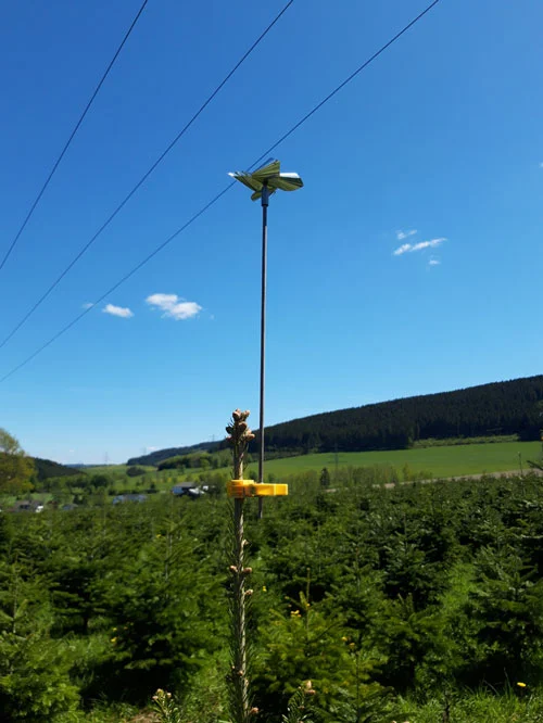 Windrädchen zur Abschreckung von Vögeln. Klick führt zu Großansicht in neuem Fenster.
