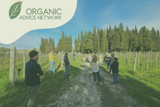 Menschen in einem Weinberg. Im linken oberen Eckt steht "Organic Advice Network". Klick führt zu Großansicht.
