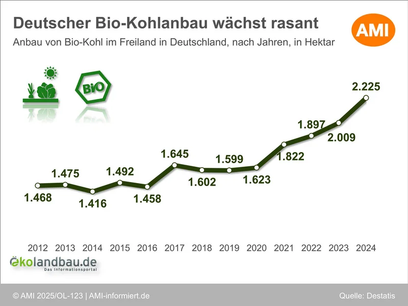 Grafik mit dem Anbau von Bio-Kohl im Freiland seit 2012. Klick führt zu Großansicht in neuem Fenster, schließen per ESC.
