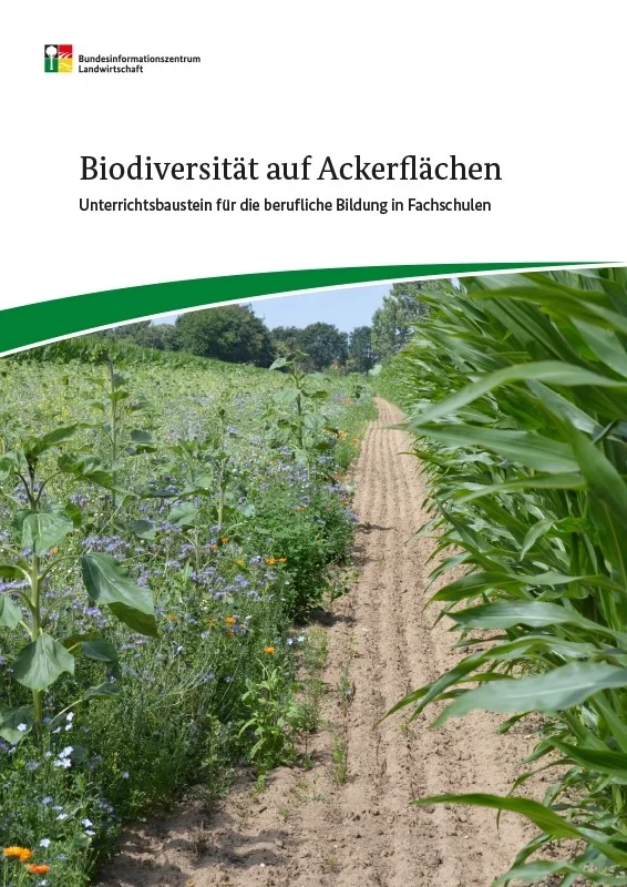 Cover des Unterrichtsbausteins