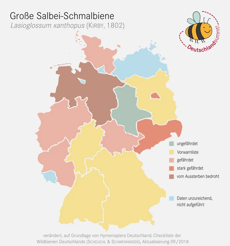 Nachweiskarte und Gefährdung der Großen Salbei-Schmalbiene. Klick führt zu Großansicht im neuen Fenster.