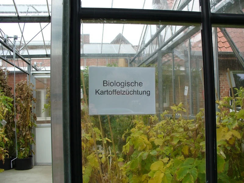 Gewächshaus, Klick führt zu Großansicht im neuen Fenster