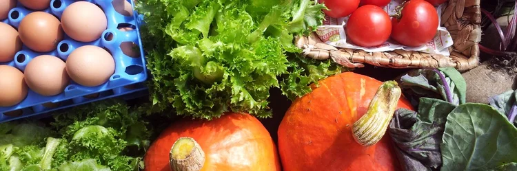 Zu sehen sind Salat, Gemüse und Eier im Korb, alles Produkte, die auf dem inklusiven Bio-Betrieb erzeugt wurden.