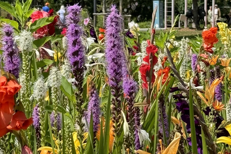 Buntes Blumenbeet.