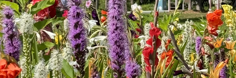 Buntes Blumenbeet.
