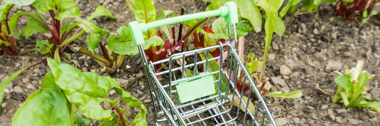 Kleiner Einkaufswagen auf einem Feld.