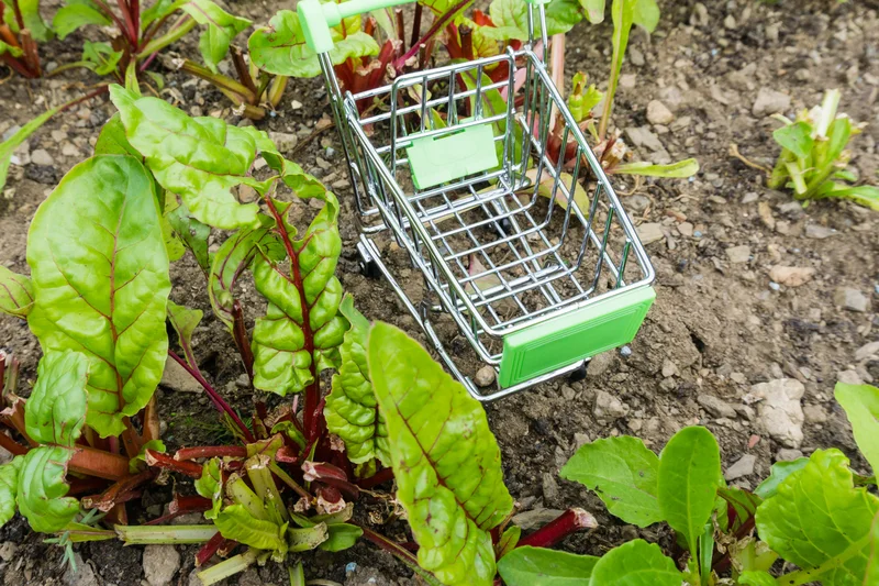 Kleiner Einkaufswagen im Feld. Foto: Pusteflower9024 / iStock / Getty Images