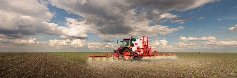 Traktor mit Pflanzenschutzspritze in weitläufigem Maisfeld, das vom Biodiversitätsverlust in Agrarlandschaften betroffen ist. Klick führt zu Großansicht in neuem Fenster.