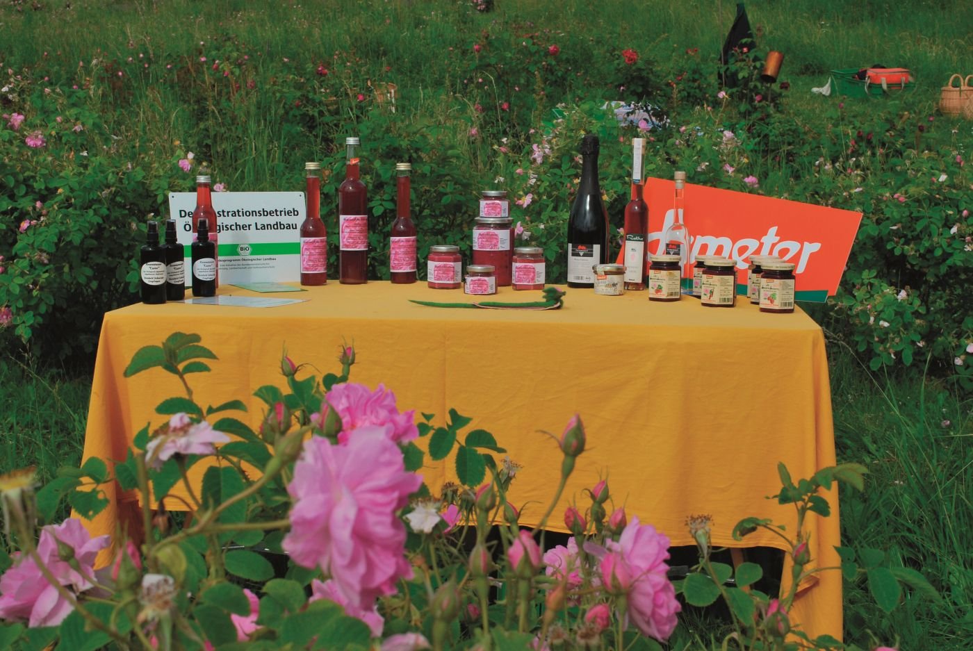 Gedeckter Tisch mit Hofprodukten