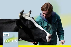 FiBL-Podcast: Bio und konventionell im Tierwohl-Check