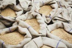 Bio-Importe: So sichern sie die Versorgung mit Lebensmitteln