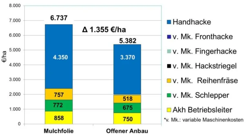Säulendiagramm zum Vergleich von Mulchfolieneinsatz und offenem Anbau. Klick führt zu Großansicht in neuem Fenster.