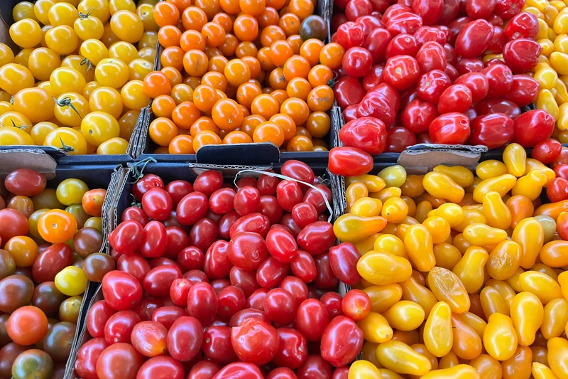 Verschiedenfarbige Cocktailtomaten in Kisten. Klick führt zu Großansicht.