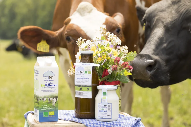 Hofprodukte und Kühe