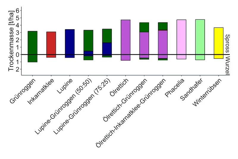 Grafik zur Spross- und Wurzelmasse von Zwischenfrüchen. Klick führt zu Großansicht in neuem Fenster, Schließen per ESC.  