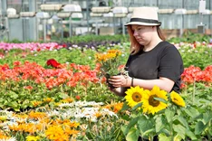 Bio-Garten Flechtdorf