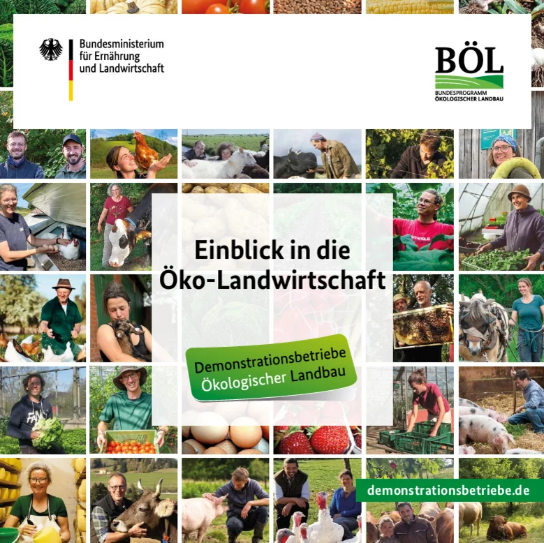 Cover der Broschüre