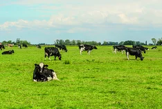 Hof Butendiek