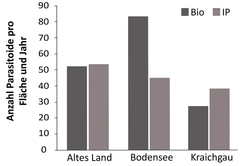 Säulendiagramm