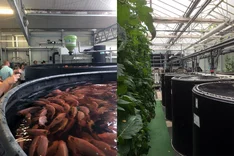 Gesellschaftliche Akzeptanz von Kreislaufanlagen in der Öko-Fischzucht