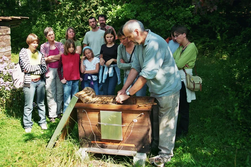 Imker zeigt Besucherinnen und Besuchern Bienen. Klick führt zu Großansicht in neuem Fenster.