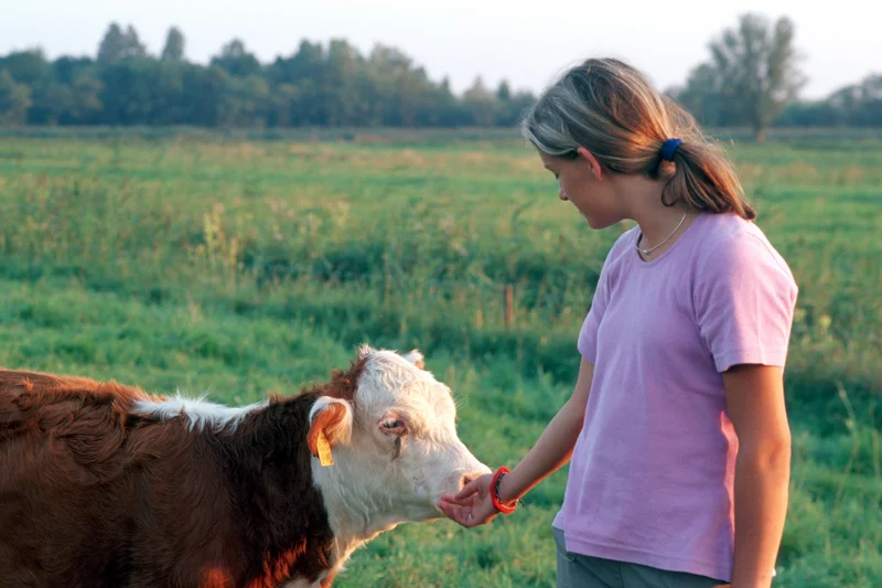 Mädchen und Kalb, Foto: Thomas Stephan