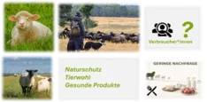 Verbesserung der Image- und Absatzprofilierung von Schaf- und Ziegenprodukten