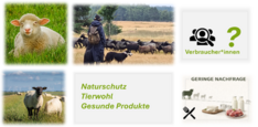 Verbesserung der Image- und Absatzprofilierung von Schaf- und Ziegenprodukten
