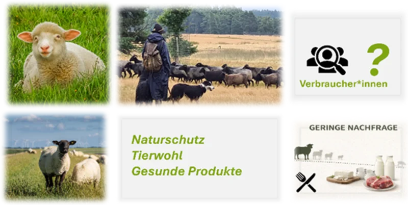 Spannungsfeld gewünschter Aspekte und Nachfrage