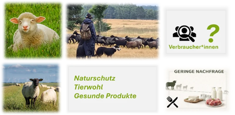 Verbesserung der Image- und Absatzprofilierung von Schaf- und Ziegenprodukten