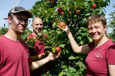 Nachhaltig gesunde Äpfel: der Bio-Obsthof Glocker