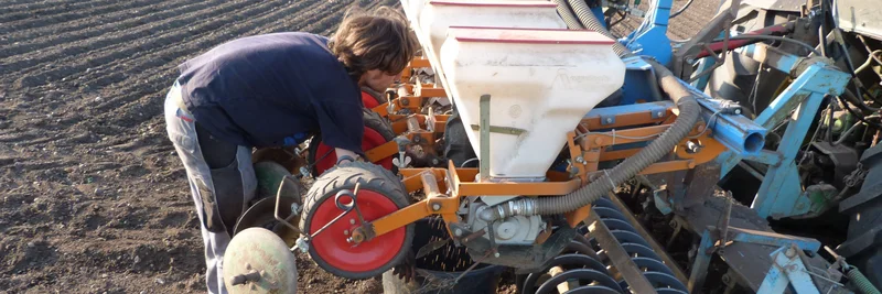 Mann steht gebeugt an einer Sämaschine an einem Traktor.