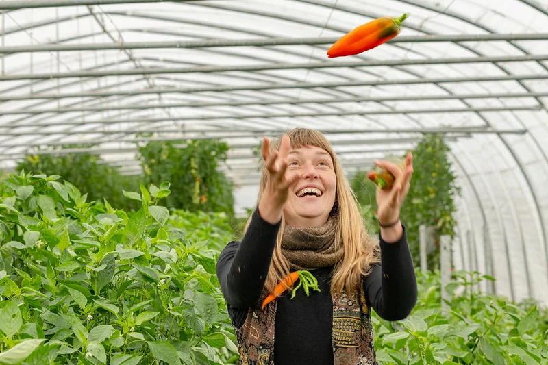 Frau in einem Gewächshaus. Sie steht zwischen den Kulturreihen und wirft eine Spitzpaprika in die Luft. Sie lacht dabei. Klickt führt zu Großansicht.