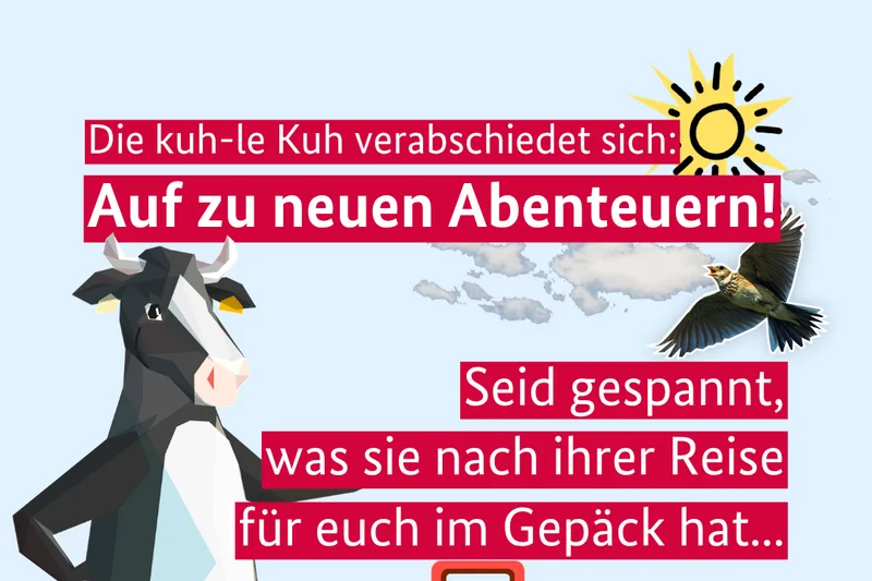 Die Kuh mit gepackten Koffern.