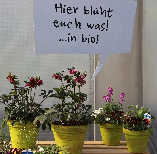 Grüne Töpfe mit Schild. Klick führt zu Großansicht im neuen Fenster.