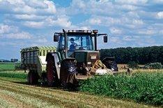 Traktor bei der Ernte auf dem Feld. Klick führt zu Großansicht.