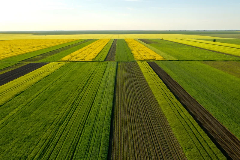 Luftaufnahme mit der geometrischen Textur der Landschaft, bestehend aus zahlreichen landwirtschaftlichen Feldern, die für Biodiversitätsverlust in Agrarlandschaften sorgen..