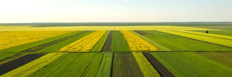 Luftaufnahme mit der geometrischen Textur der Landschaft, bestehend aus zahlreichen landwirtschaftlichen Feldern, die für Biodiversitätsverlust sorgen..