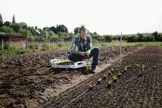 Was bewegt junge Bio-Landwirtinnen und Bio-Landwirte?
