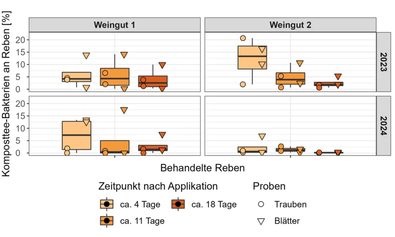 Grafik zum Anteil applizierter, kompostteespezifischer Bakterien an Reben. Klick führt zu Großansicht im neuen Fenster.